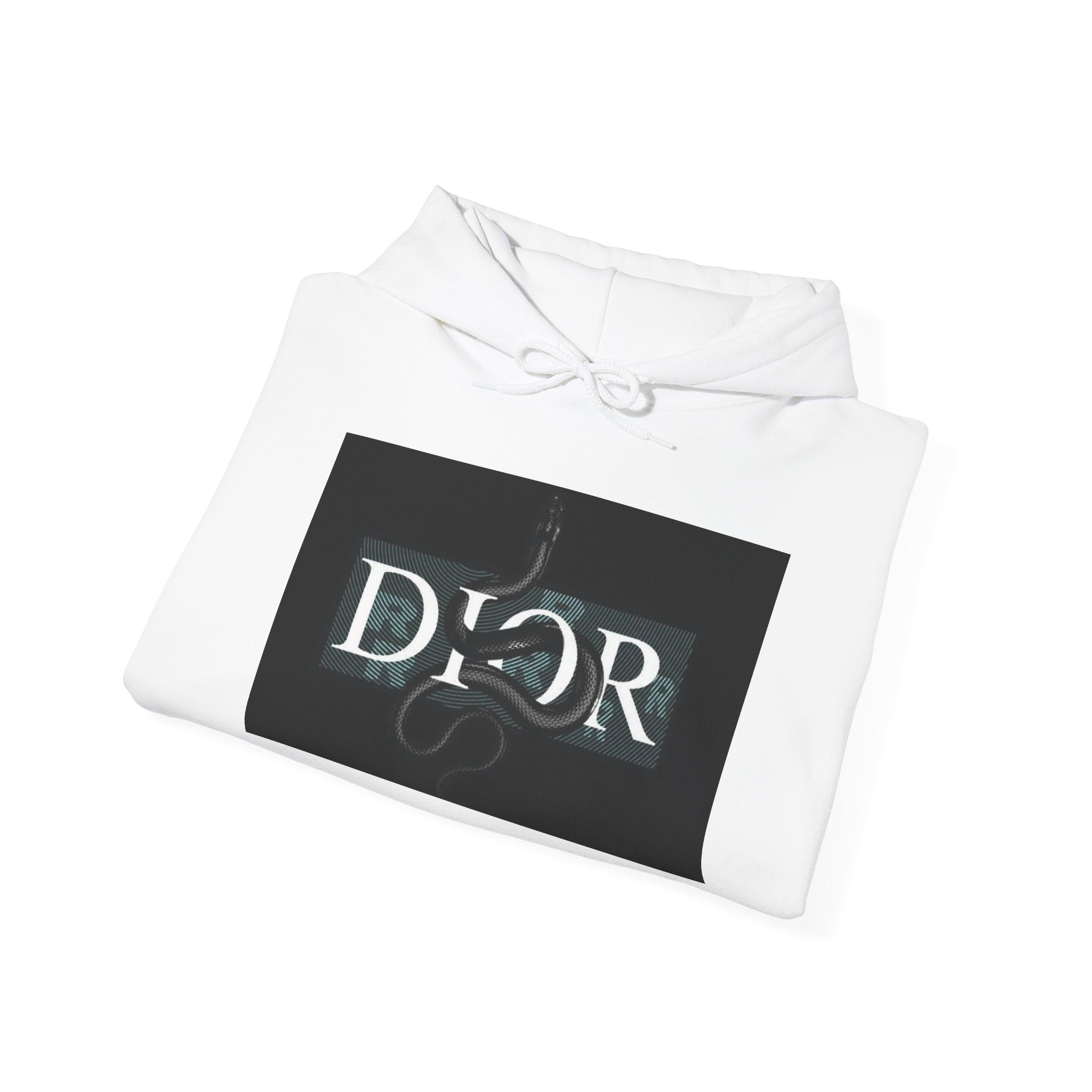 Dior Snake Graphic Hoodie — White Streetwear Logo Pullover